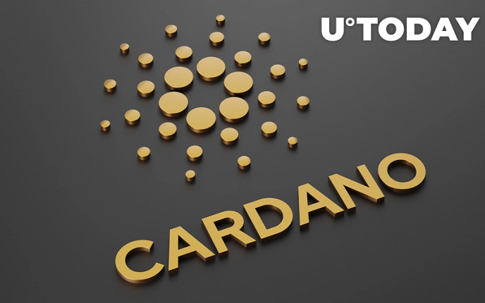 آدرس‌های Cardano با بیش از 100000 ADA  اکنون دارای درصد بالایی از عرضه هستند
