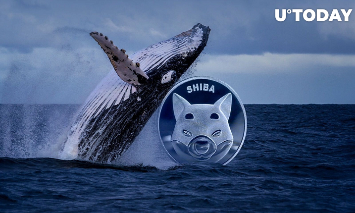 یک نهنگ ، تعدادی توکن SHIB به ارزش 22.2 میلیون دلار را در یک هفته خریداری کرد