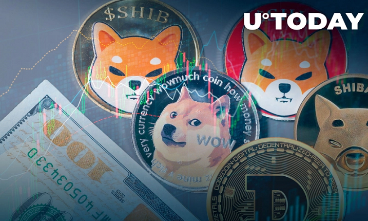 Dogecoin و Shiba Inu در میان محبوب ترین ارزهای دیجیتال در ایالات متحده 