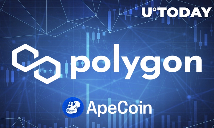 پالیگان اکنون با دسترسی به 19000 برنامه غیر متمرکز  از Apecoin  پشتیبانی می کند