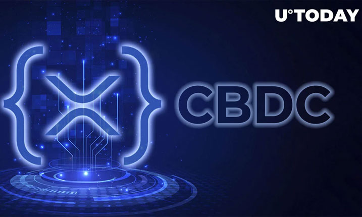 ریپل در حال کار بر روی نسخه خصوصی XRP Ledger برای  CBDC ها است