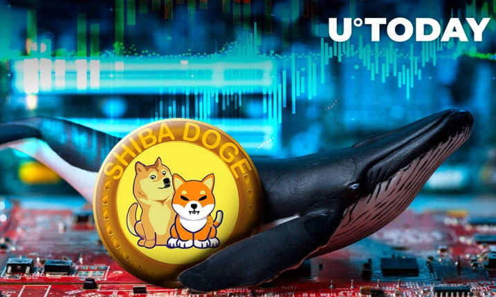 ShibDoge بیشترین کوین را در میان نهنگ‌های ETH دارد