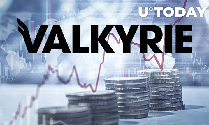 Valkyrie یک صندوق که مستقیما در avalanche  سرمایه گذاری میکند ،راه اندازی کرد 