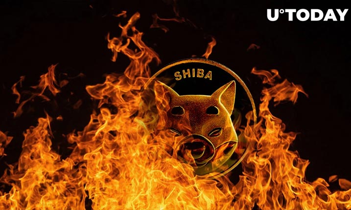 نیم میلیارد SHIB در هفته گذشته به کیف پولی ارسال شد