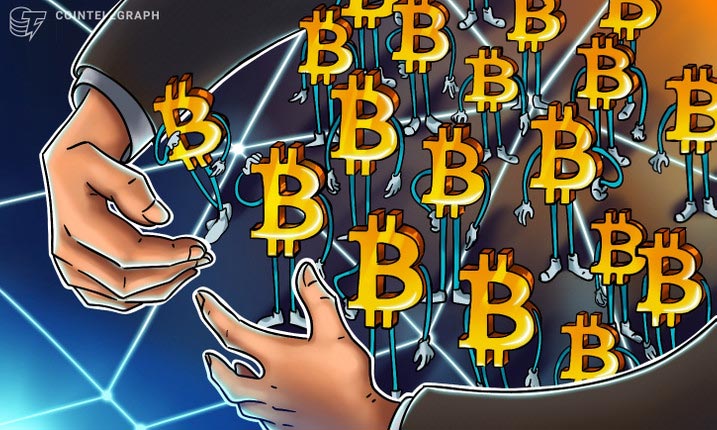 شکست رکورد انباشت بیت کوین توسط میگو ها و خرچنگ ها 