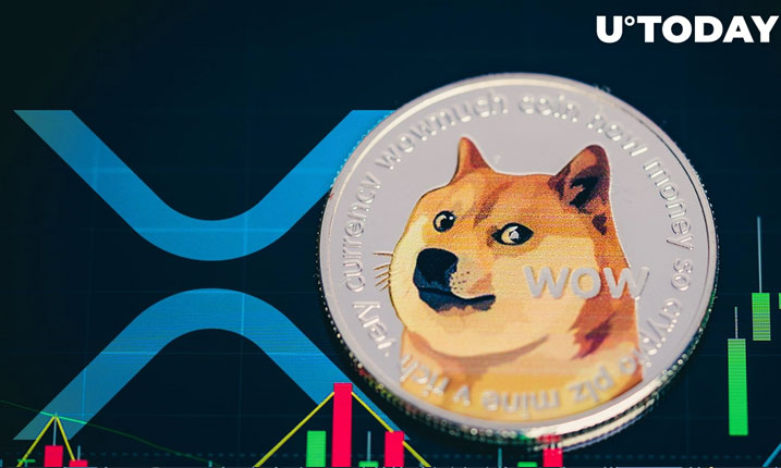 Dogecoin و XRP اکنون توسط شبکه پرداخت جهانی Mercuryo پشتیبانی می شوند