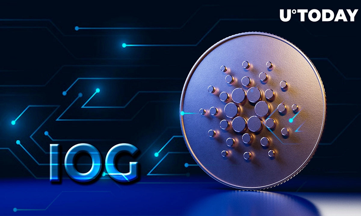 IOG کاردانو آخرین به روز رسانی خود را در مورد وضعیت Vasil ارائه می دهد