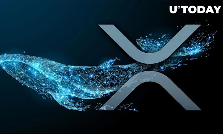 میلیون‌ها XRP  توسط نهنگ‌ها در 24 ساعته گذشته جا به جا شده است