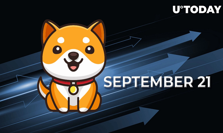 تیم BabyDoge به نام Mainnet در 21 سپتامبر راه اندازی می شود