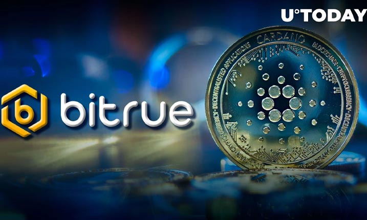 کارمزدهای برداشت کاردانو توسط صرافی Bitrue لغو شد