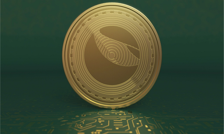 Terra با فناوری میان زنجیره ای اکنون از Solana، Avalanche، Fantom، Moonbeam، Osmosis پشتیبانی می‌کند.