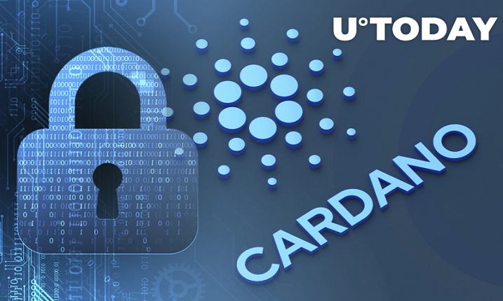 Cardano در 30 روز گذشته 50 میلیون دلار برای پروژه های DeFi  سرمایه جذب کرد