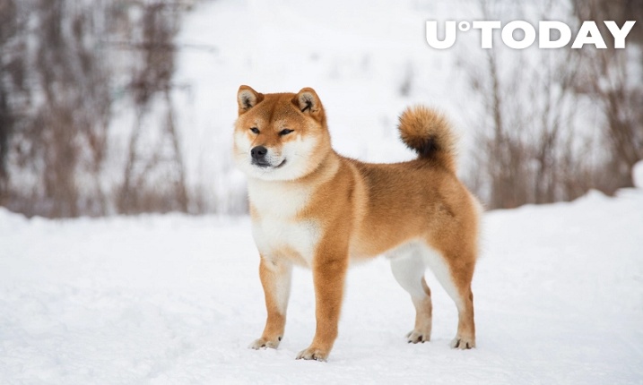 Shiba Inu و سکه های دیگر اکنون توسط Binance Custody پشتیبانی می شوند