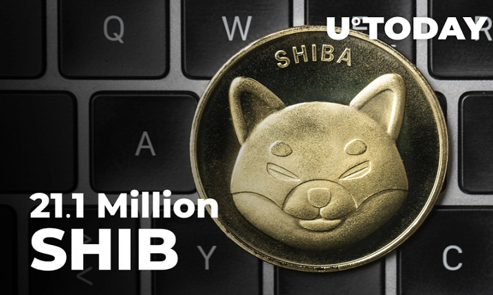 21.1 میلیون SHIB در 24 ساعت گذشته سوزانده شد