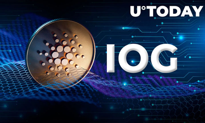 IOG ها شبکه آزمایشی Cardano را به هاردفورک Vasil متصل کردند