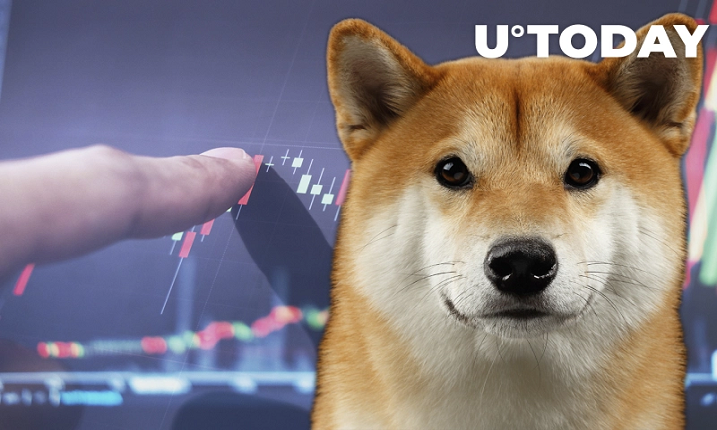 تجارت Shiba Inu در صرافی محبوب فاکس‌بیت با جدیت آغاز می شود