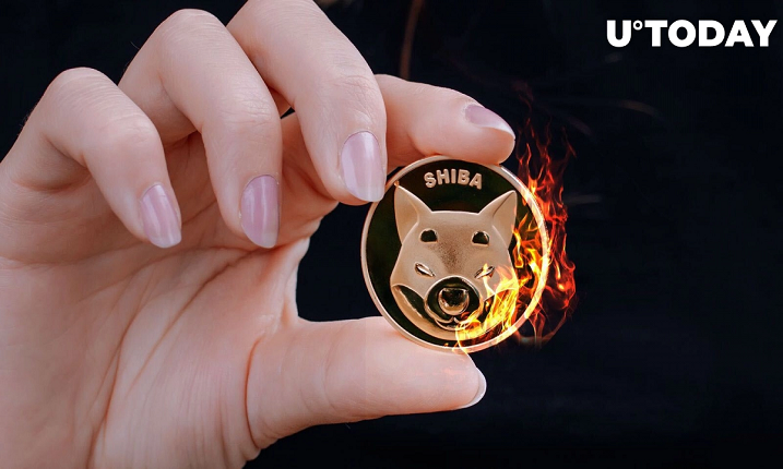 توسعه‌دهنده اصلی Shiba Inu به‌روزرسانی مهمی در مورد مکانیسم سوزاندن SHIB ارائه می‌کند