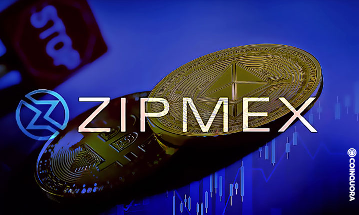 صرافی Zipmex در تلاش است تا 50 میلیون دلار  برای سرپا ماندن جمع آوری کند