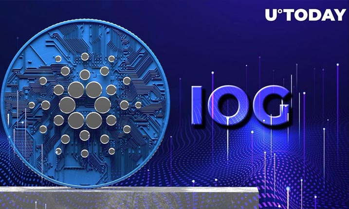 IOG جدیدترین ها را در مورد Vasil کاردانو و رویداد های بعد از آن  به اشتراک می گذارد