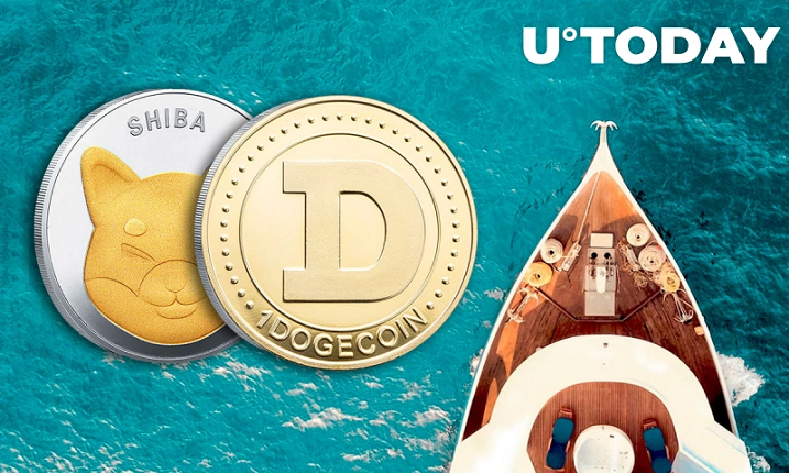 دارندگان Shiba Inu و Dogecoin اکنون می توانند از رمزارزهای خود برای پرداخت هزینه خدمات قایق های تفریحی لوکس استفاده کنند
